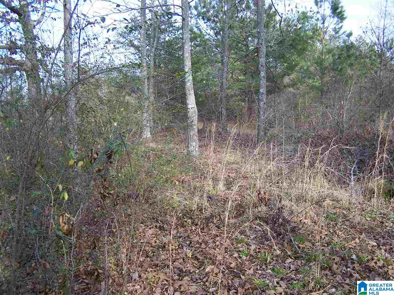 250 Jones Chapel Loop Springville, AL 35146 - Photo 15 of 19
