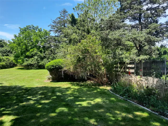 a view of a garden with a bench