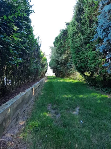 a view of green field with trees in the background