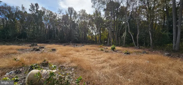 $35,000 | Lot 12-northwood Lot 12-northwood Acres Benjamin Avenue, Ellendale, DE 19941