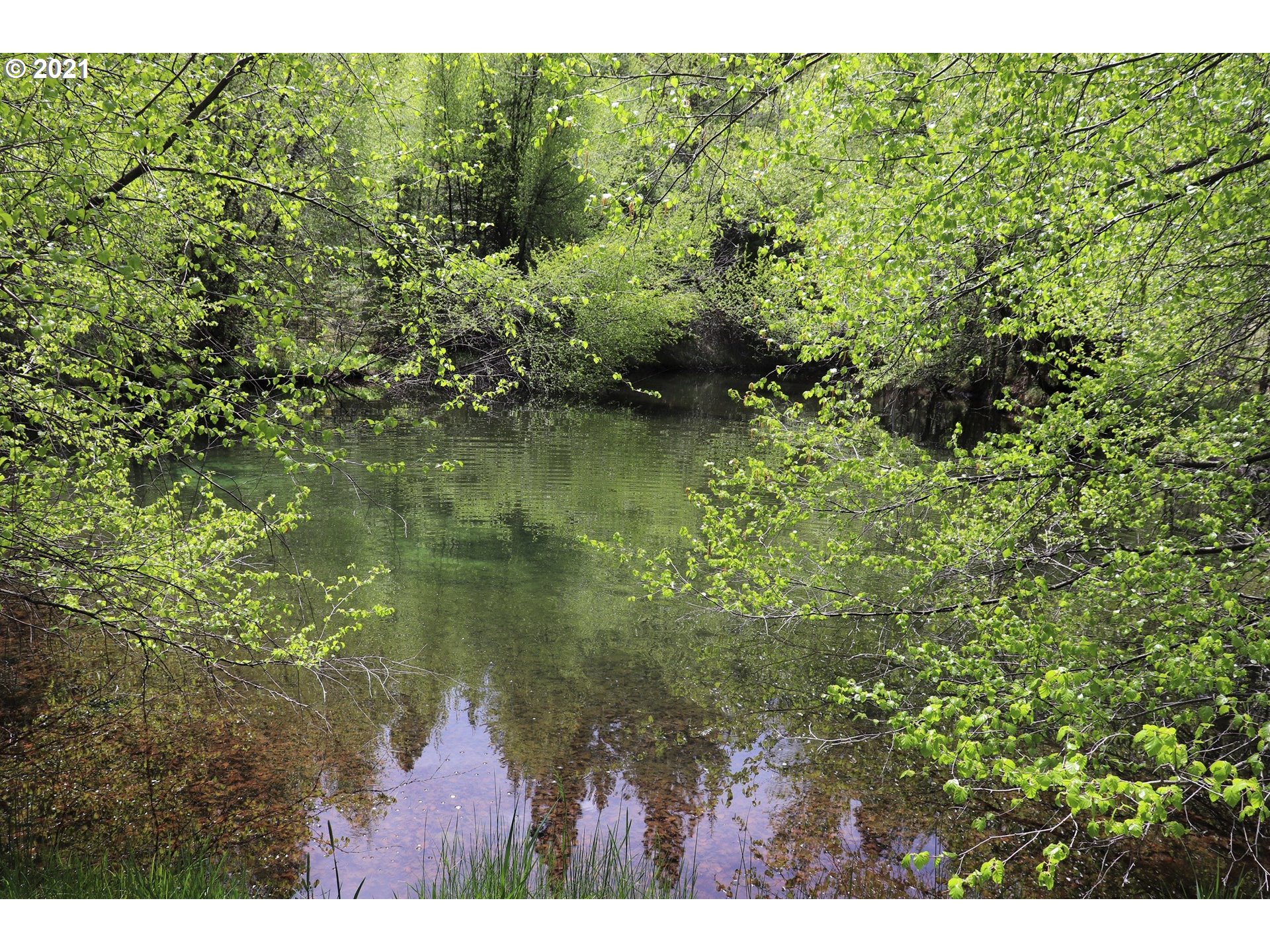 25855 Pine Creek Road John Day, OR 97845 - Photo 25 of 32