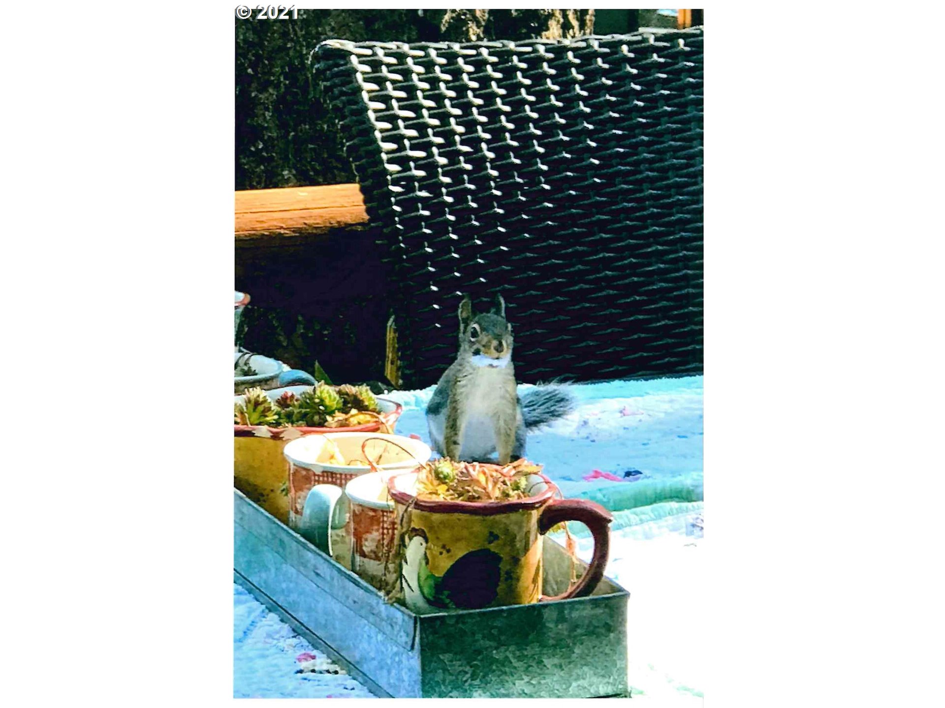 25855 Pine Creek Road John Day, OR 97845 - Photo 26 of 32