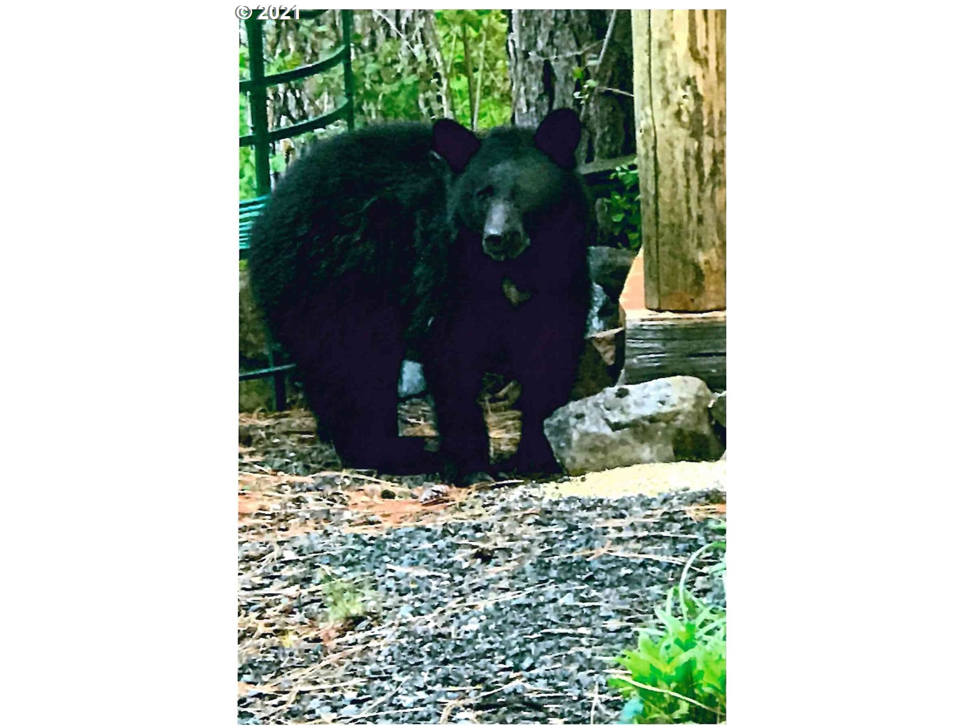 25855 Pine Creek Road John Day, OR 97845 - Photo 27 of 32