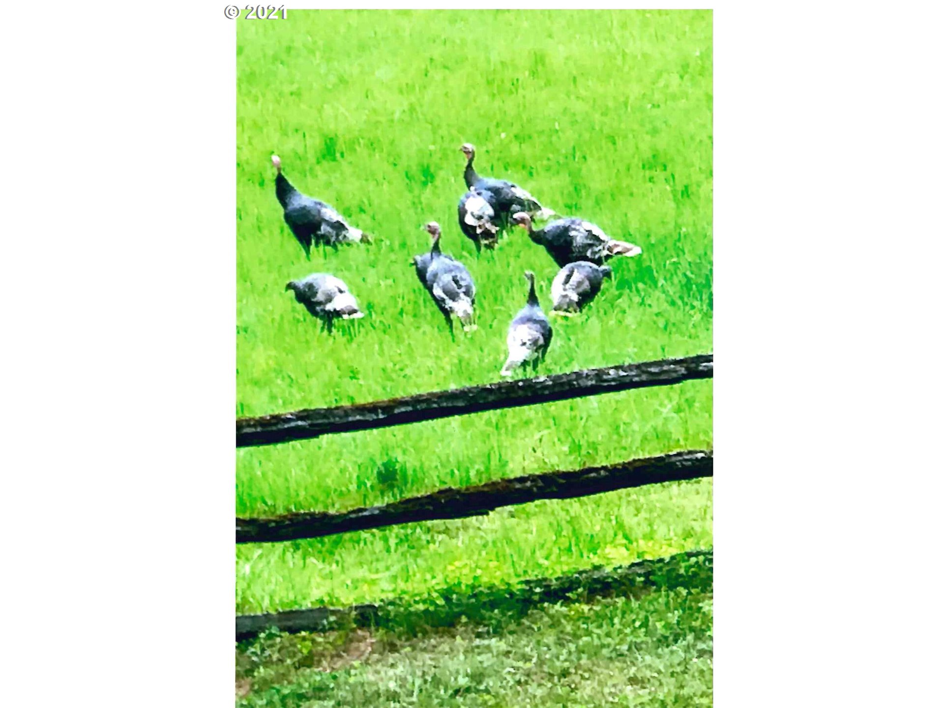 25855 Pine Creek Road John Day, OR 97845 - Photo 29 of 32