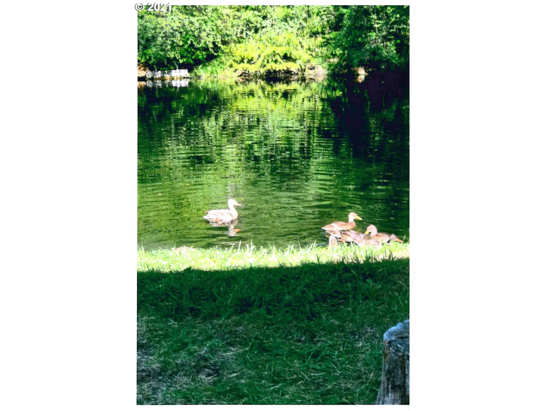 25855 Pine Creek Road John Day, OR 97845 - Photo 30 of 32