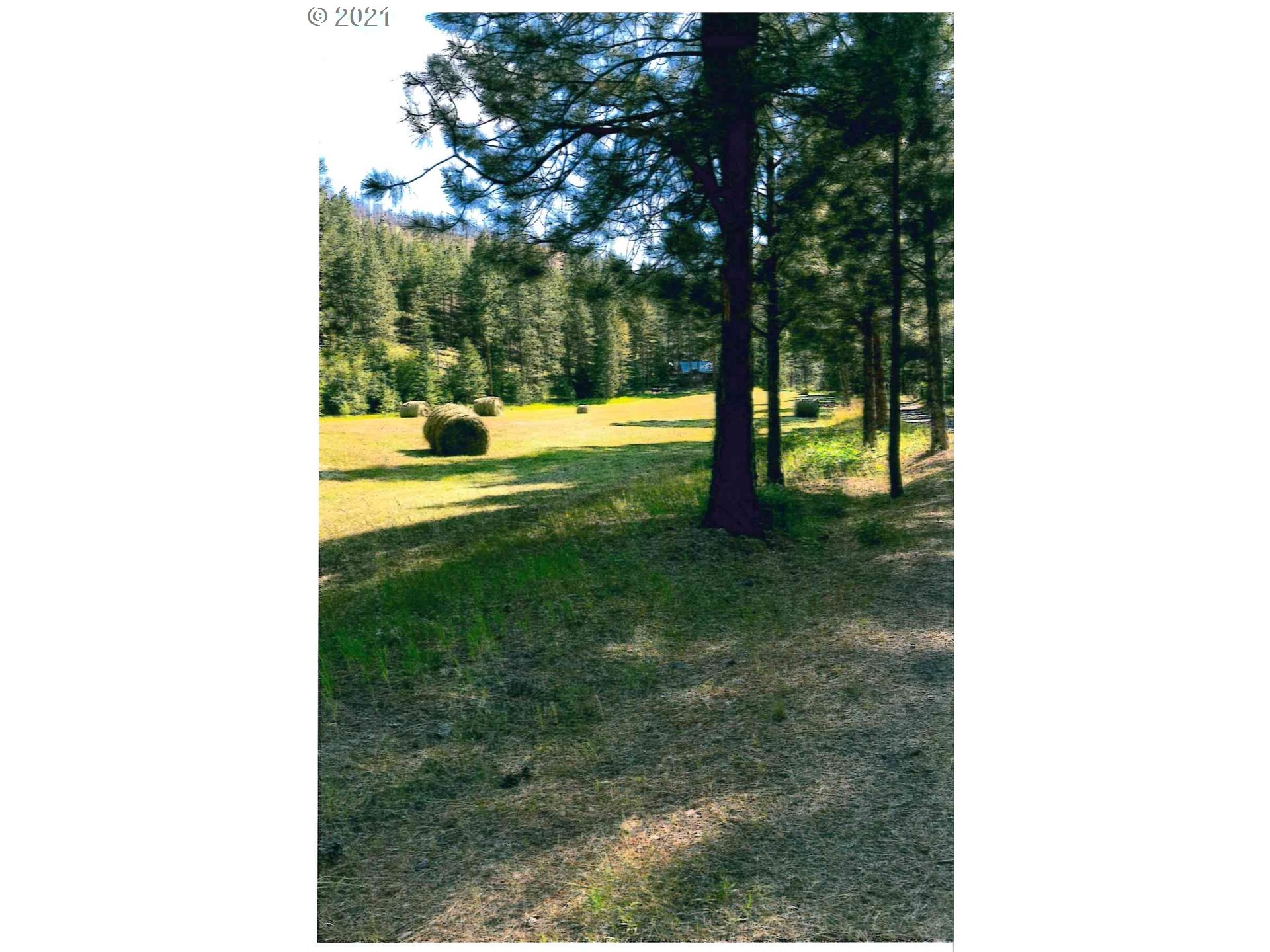 25855 Pine Creek Road John Day, OR 97845 - Photo 31 of 32