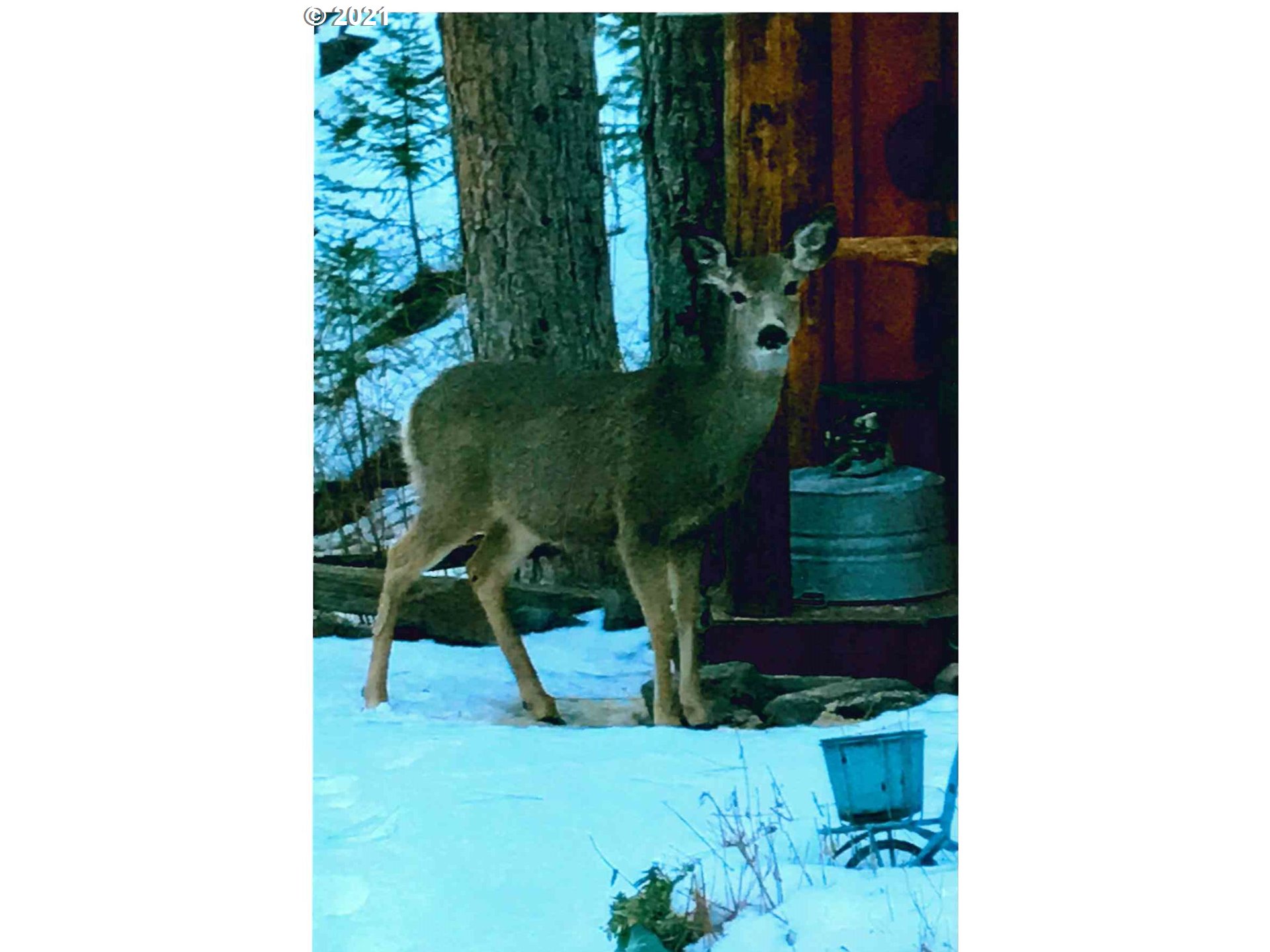 25855 Pine Creek Road John Day, OR 97845 - Photo 32 of 32