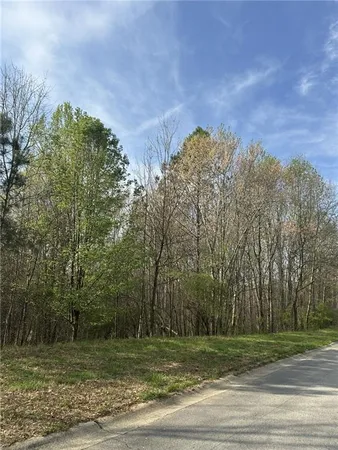 a view of a yard