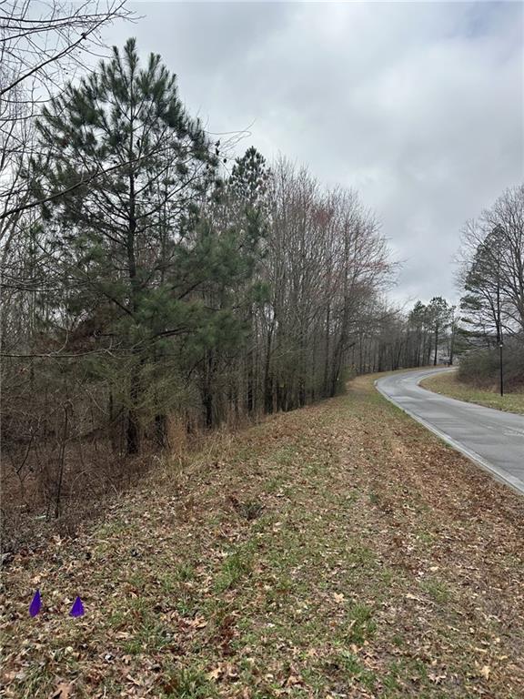 3462 Roy Parks Road Gainesville, GA 30507 - Photo 2 of 6 a view of a yard with plants and trees