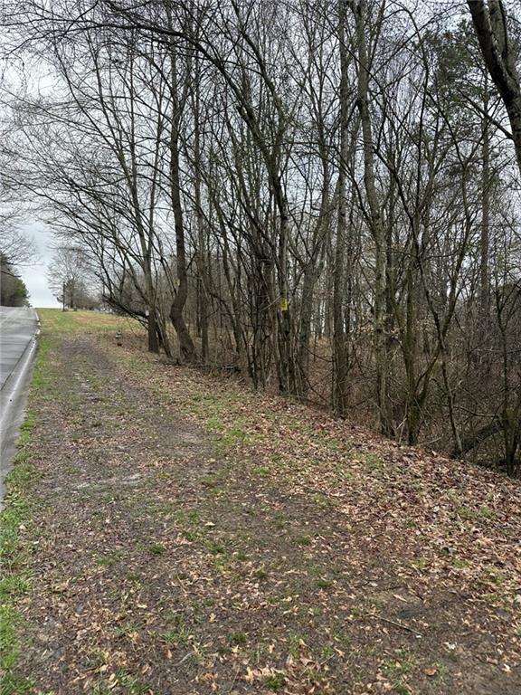 3462 Roy Parks Road Gainesville, GA 30507 - Photo 3 of 6 a view of a yard with a tree