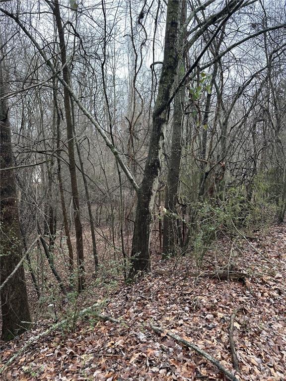 3462 Roy Parks Road Gainesville, GA 30507 - Photo 4 of 6 a view of outdoor space with lots of trees