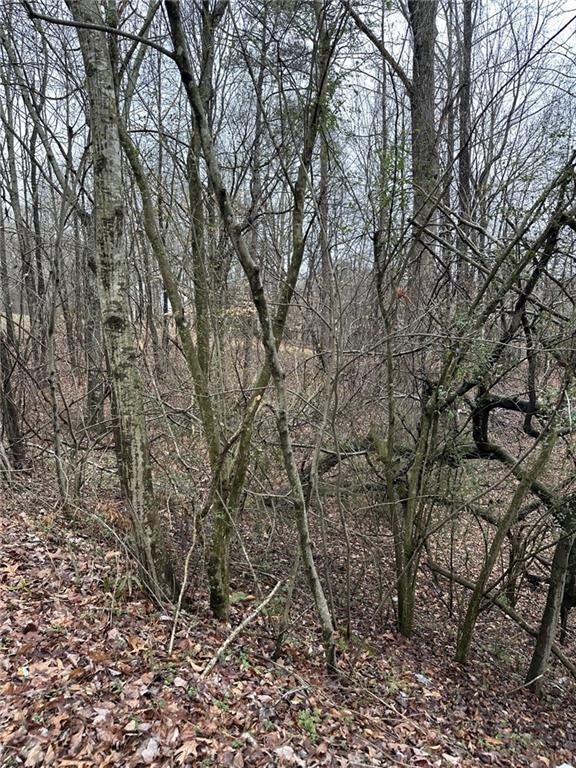 3462 Roy Parks Road Gainesville, GA 30507 - Photo 6 of 6 a view of a yard