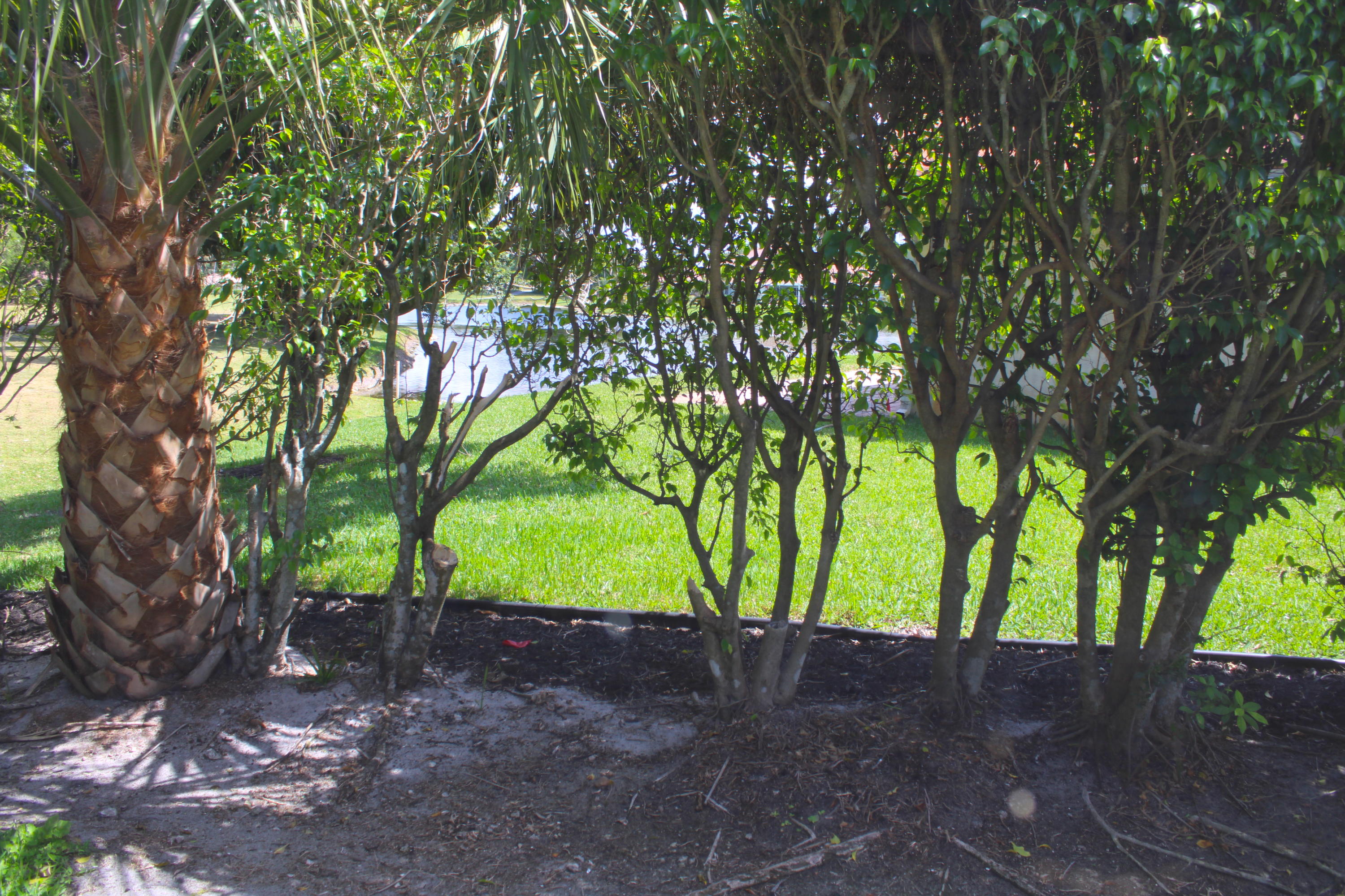 10353 Milburn Lane Boca Raton, FL 33498 - Photo 33 of 35 Lake Side
