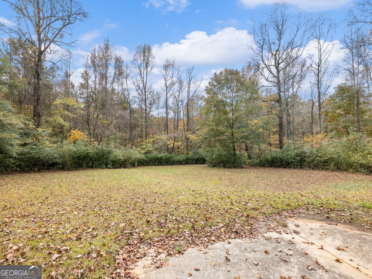 2773 River Road Ellenwood, GA 30294 - Photo 16 of 19 a view of a yard with a house