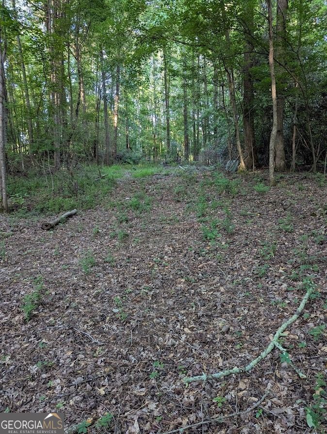 2773 River Road Ellenwood, GA 30294 - Photo 5 of 19 a view of a large yard with lots of green space