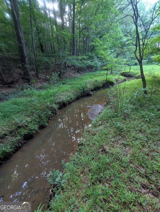 2773 River Road Ellenwood, GA 30294 - Photo 7 of 19 a view of a road with a yard