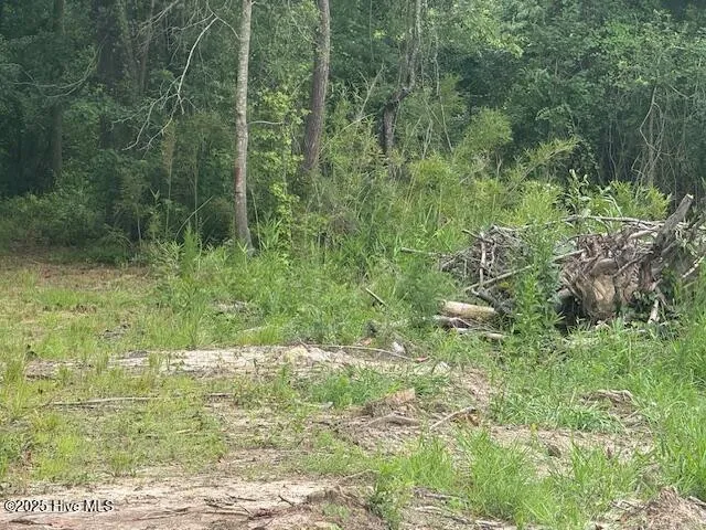 $120,000 | 751 Stack Turner Road, Chadbourn, NC 28431