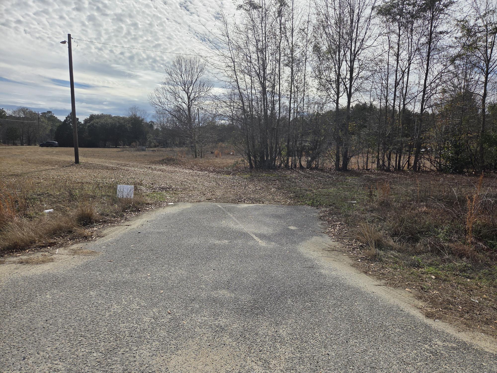 7878 Raccoon Road Manning, SC 29102 - Photo 12 of 15 RACCOON RD ENTRANCE