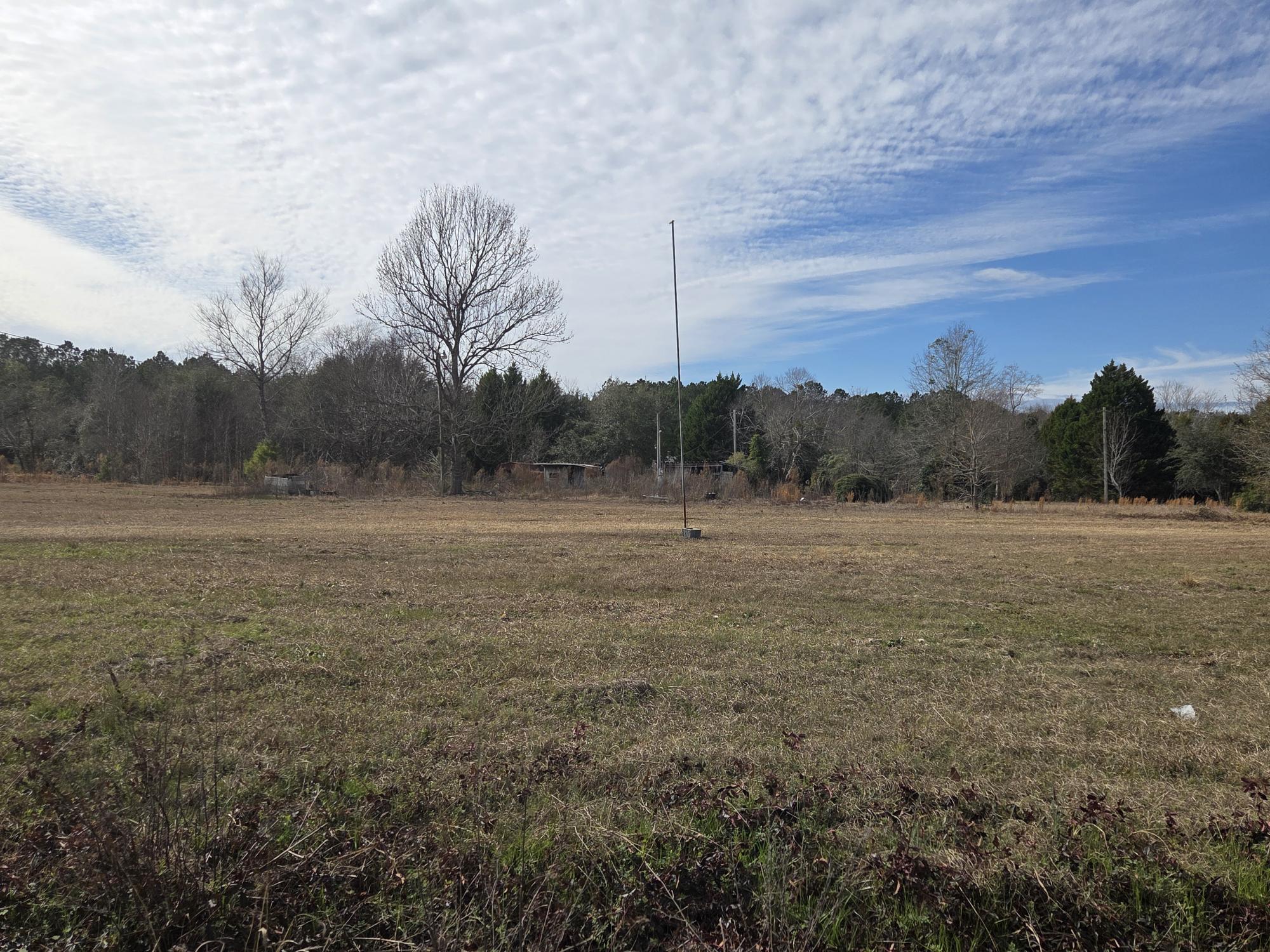 7878 Raccoon Road Manning, SC 29102 - Photo 13 of 15 LOT VIEW