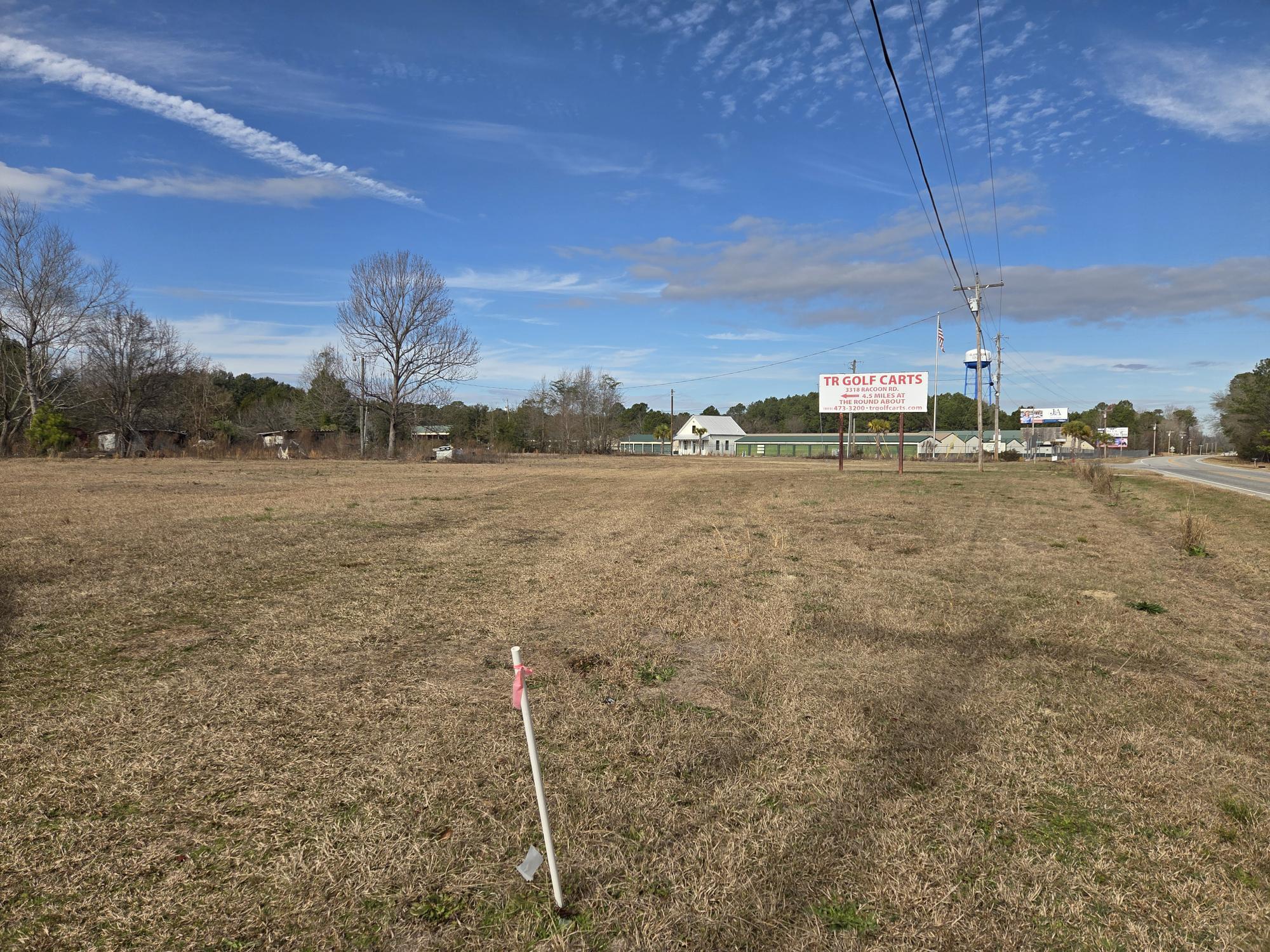 7878 Raccoon Road Manning, SC 29102 - Photo 7 of 15 RECENTLY SURVEYED