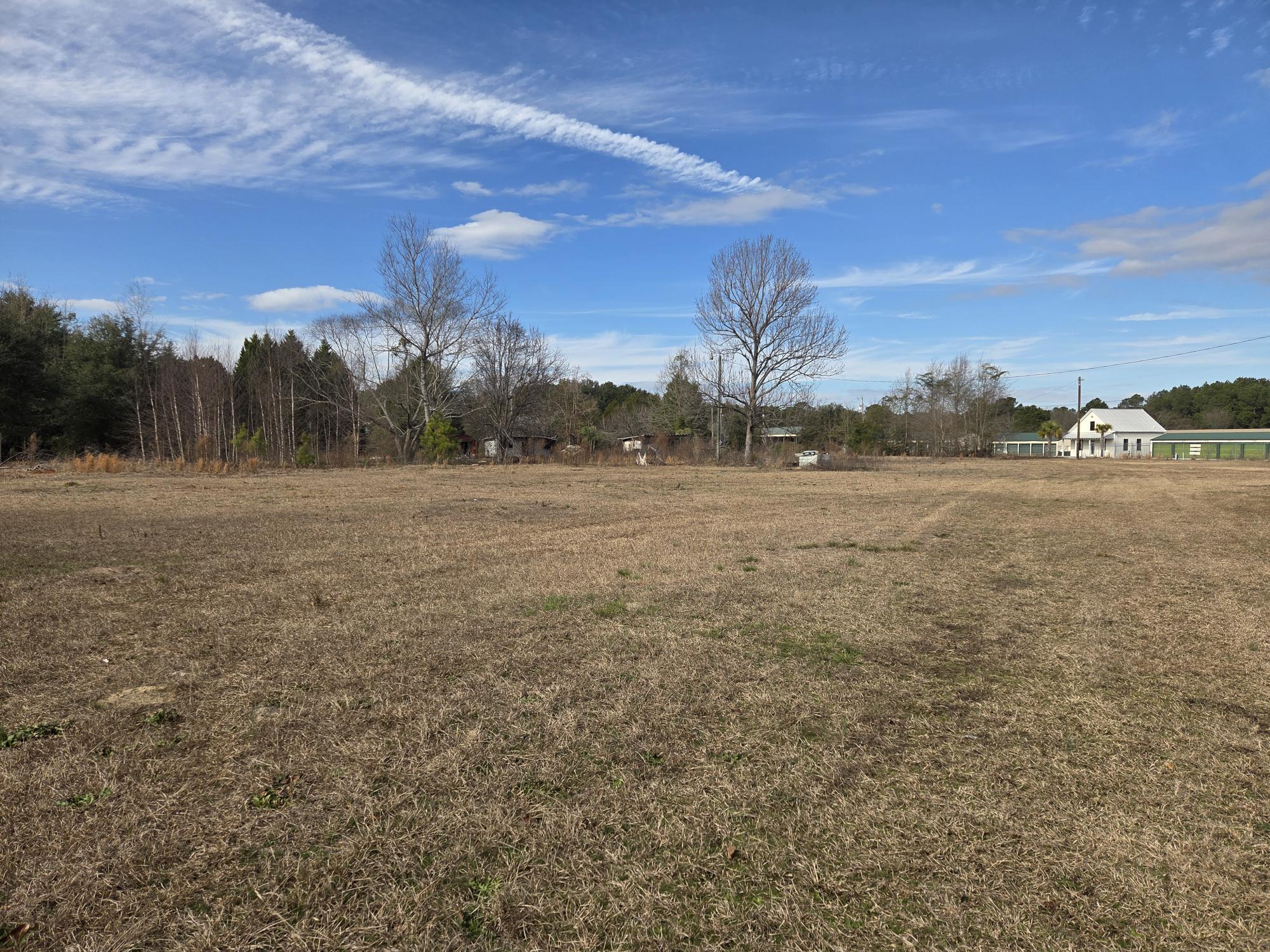 7878 Raccoon Road Manning, SC 29102 - Photo 8 of 15 LOT VIEW