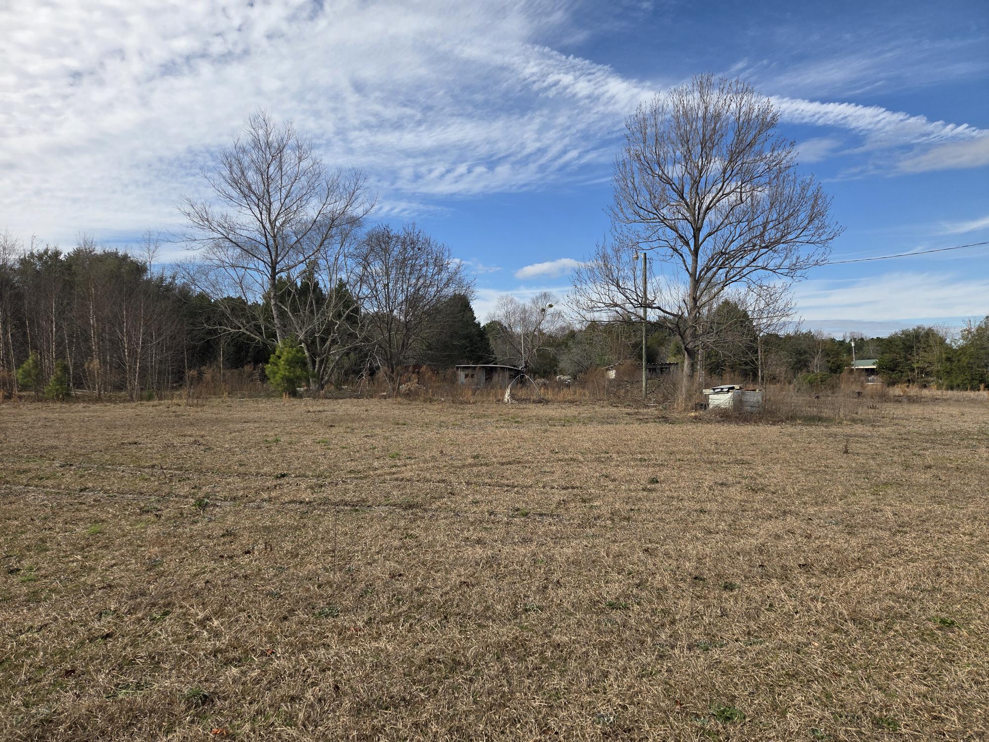 7878 Raccoon Road Manning, SC 29102 - Photo 10 of 15 LOT VIEW