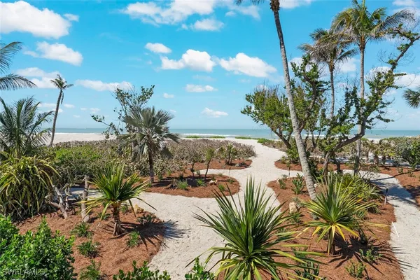 a view of a yard with palm trees