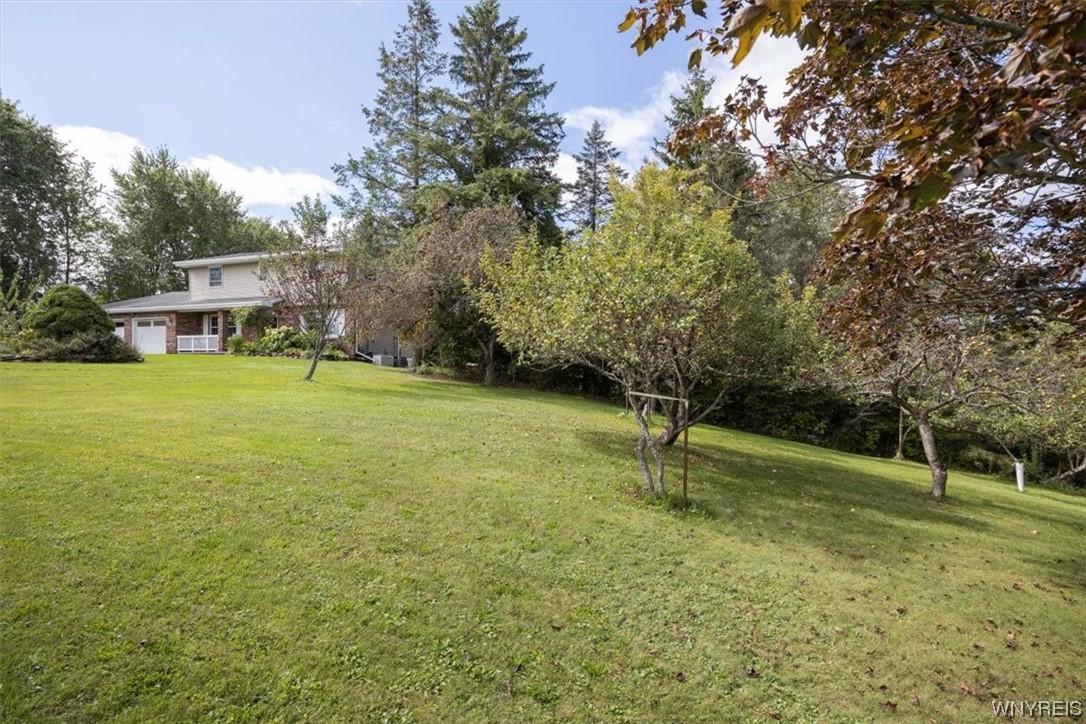 9186 Phillips Road Colden, NY 14080 - Photo 29 of 32