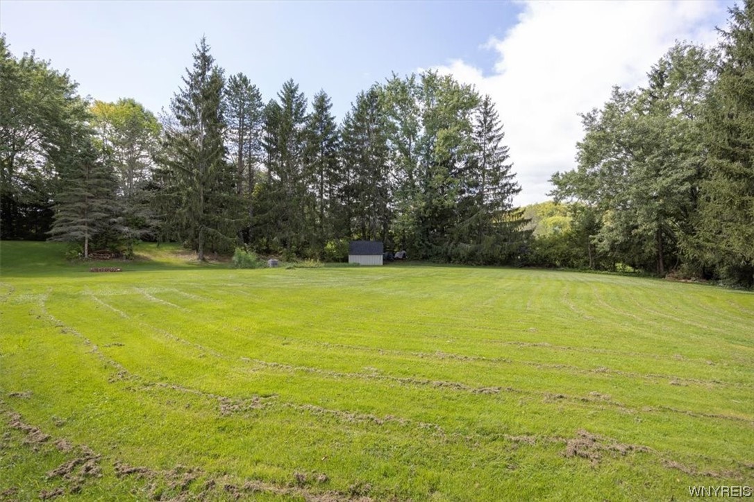 9186 Phillips Road Colden, NY 14080 - Photo 31 of 32