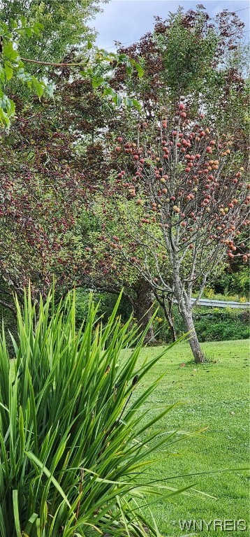 9186 Phillips Road Colden, NY 14080 - Photo 32 of 32