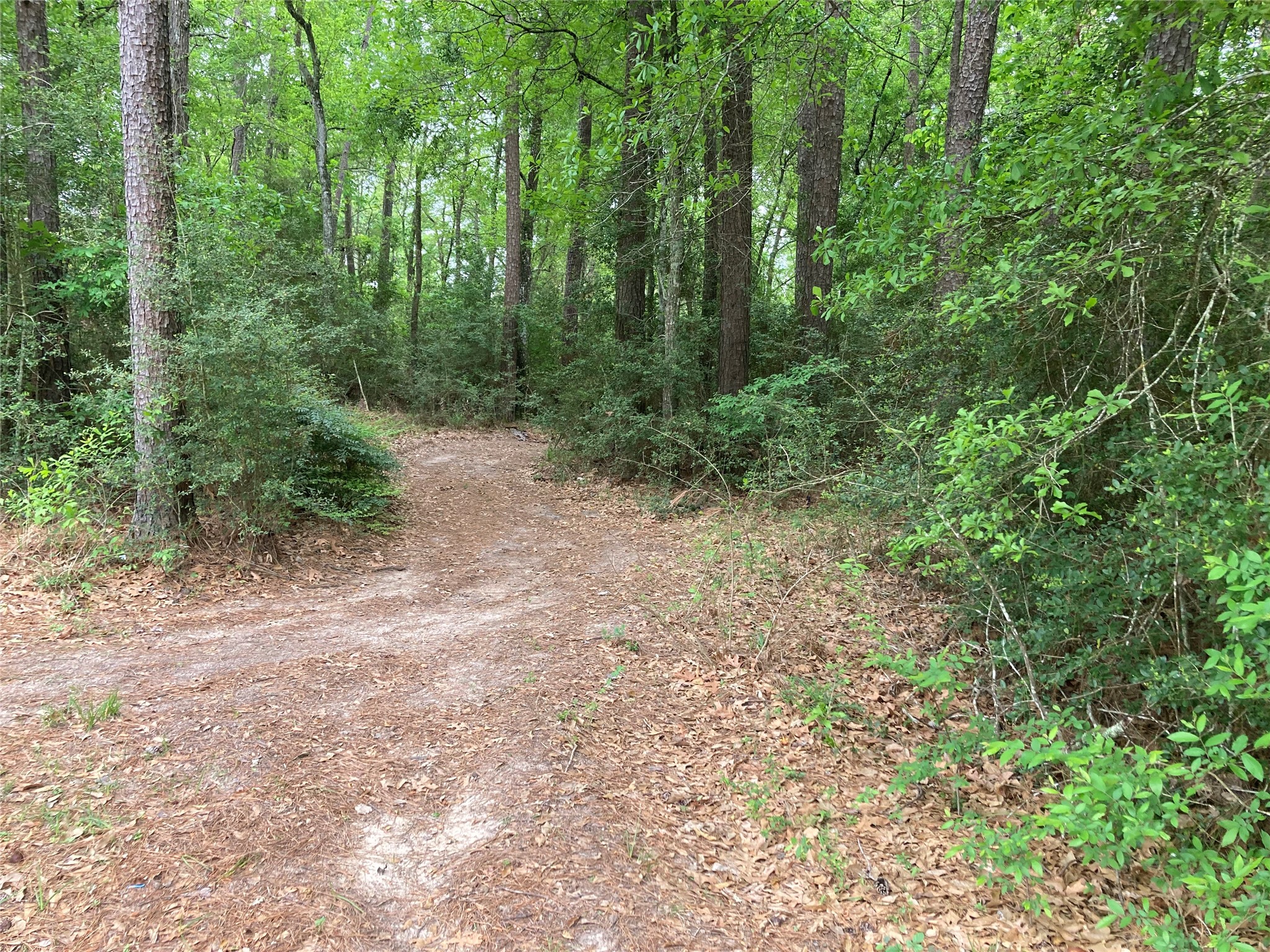 Tbd Afton Way Huffman, TX 77336 - Photo 19 of 25 Street corner for Doverbrook and Afton Way, surrounded by lush greenery and tall trees, a peaceful, wooded neighborhood setting.