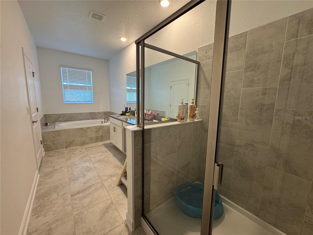 12063 Language Way Orlando, FL 32832 - Photo 21 of 45