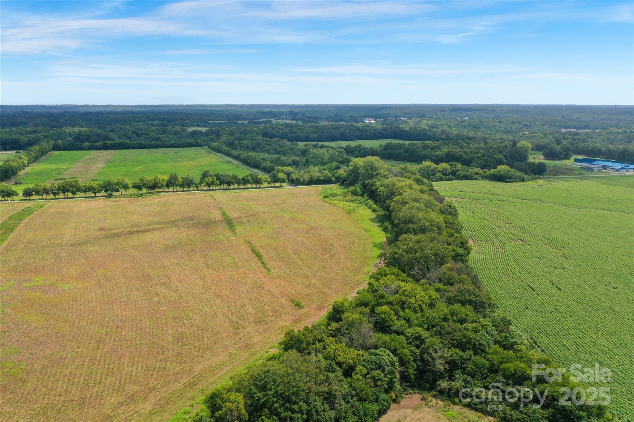 0 Milling Road, Unit 6 Rock Hill, SC 29730 - Photo 10 of 33 Gallery Image 10