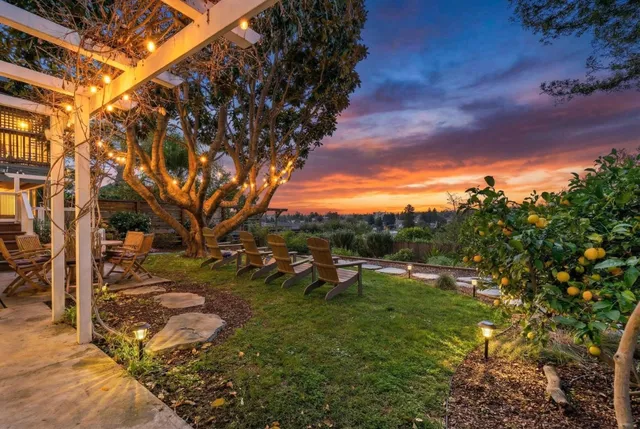 a view of a forest filled with trees