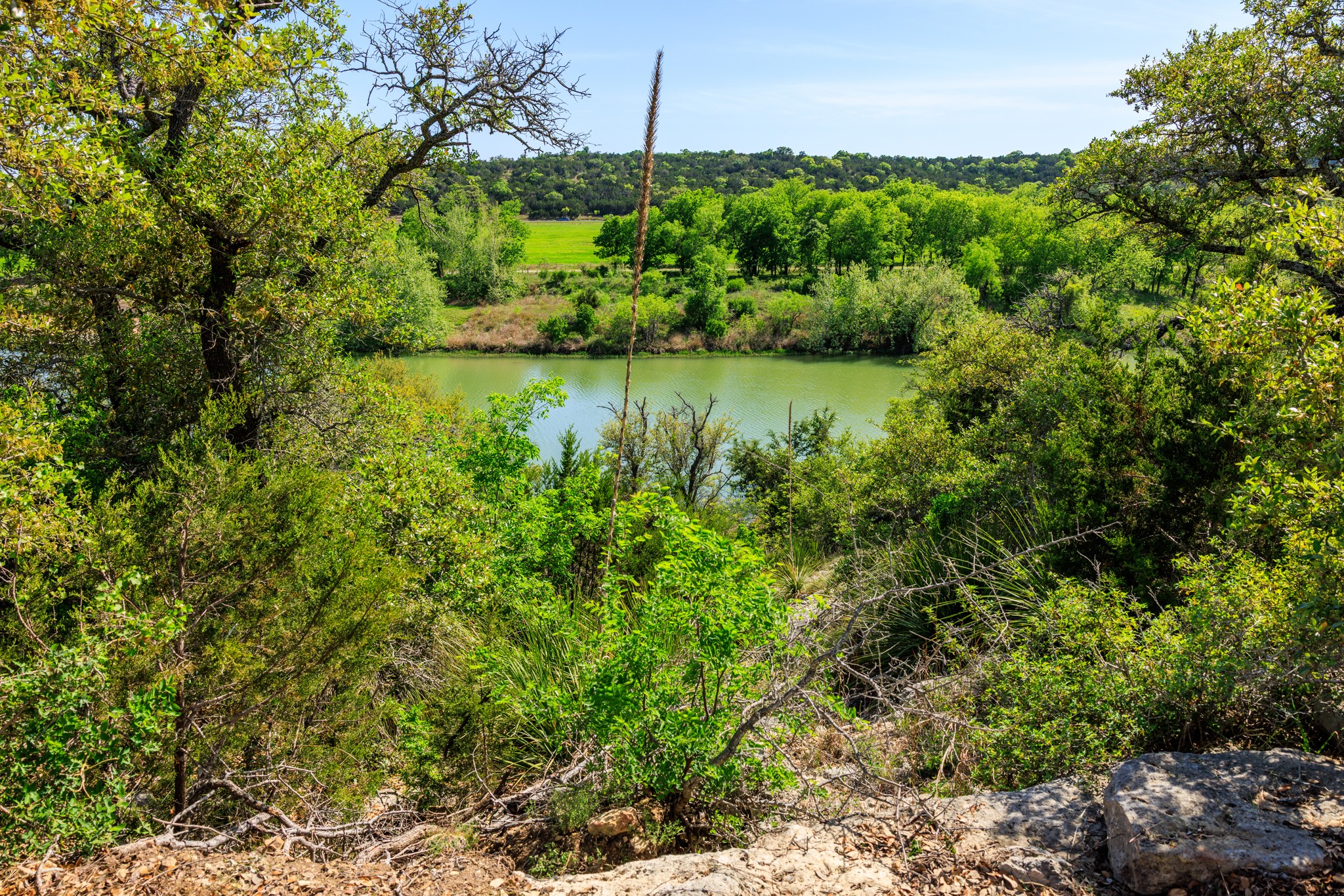 Lot 2 Byrd Ranch Road Johnson City, TX 78636 - Photo 9 of 40 Property view of water featuring a wooded view