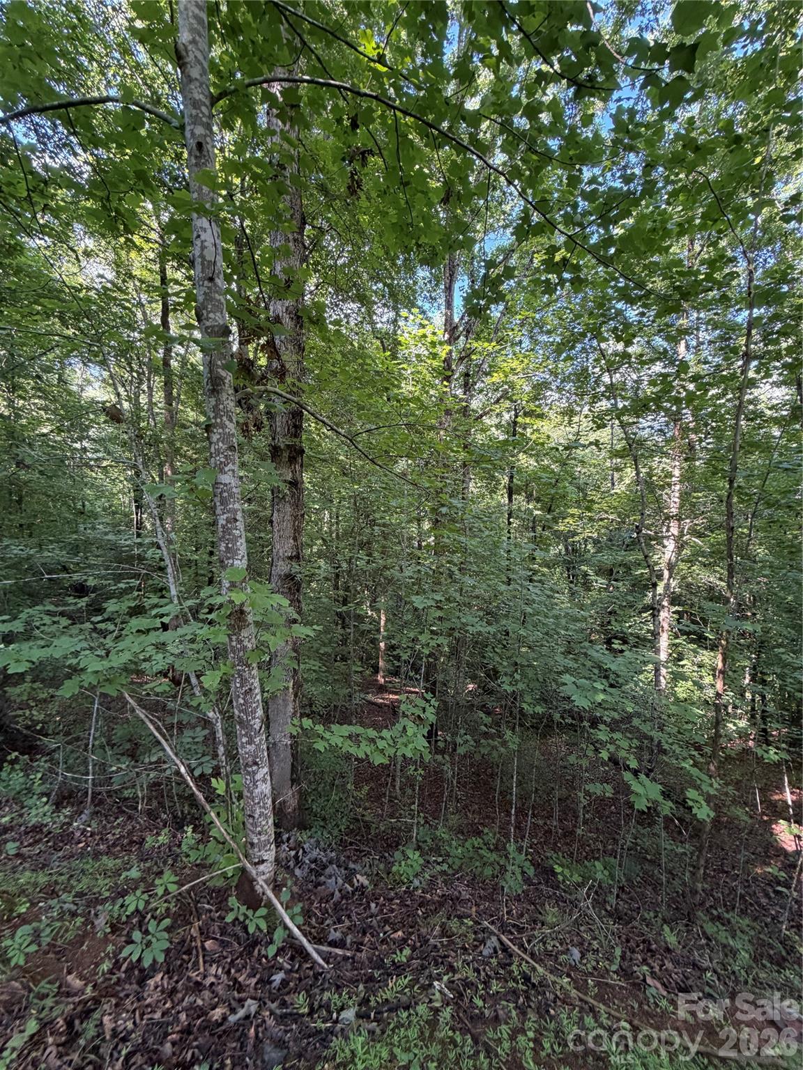 0 Greenhill Farms Drive, Unit 15 Rutherfordton, NC 28139 - Photo 5 of 10
