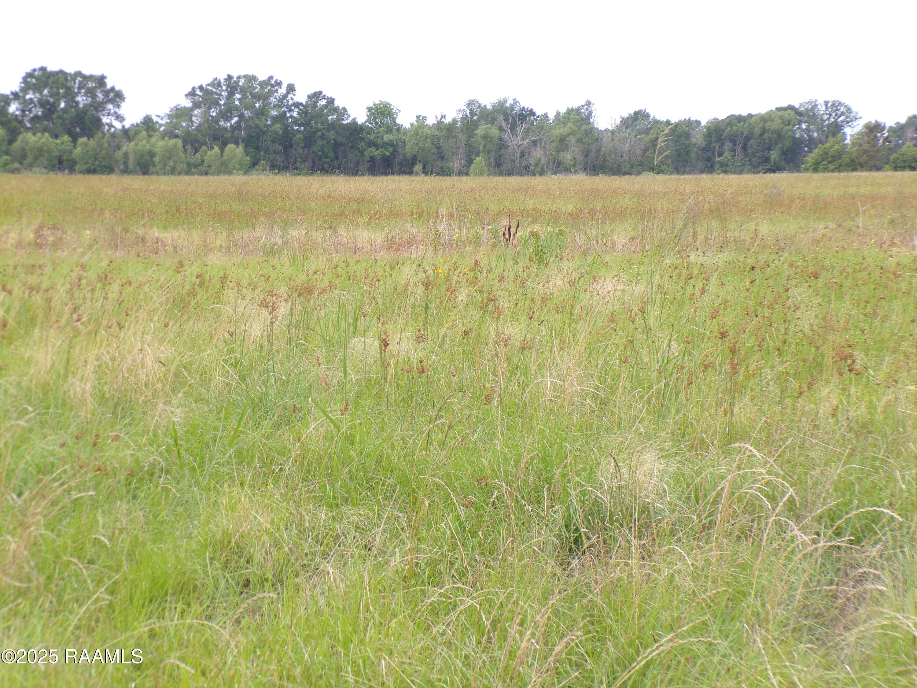 2 Joli Road Carencro, LA 70520 - Photo 7 of 8 100_2338