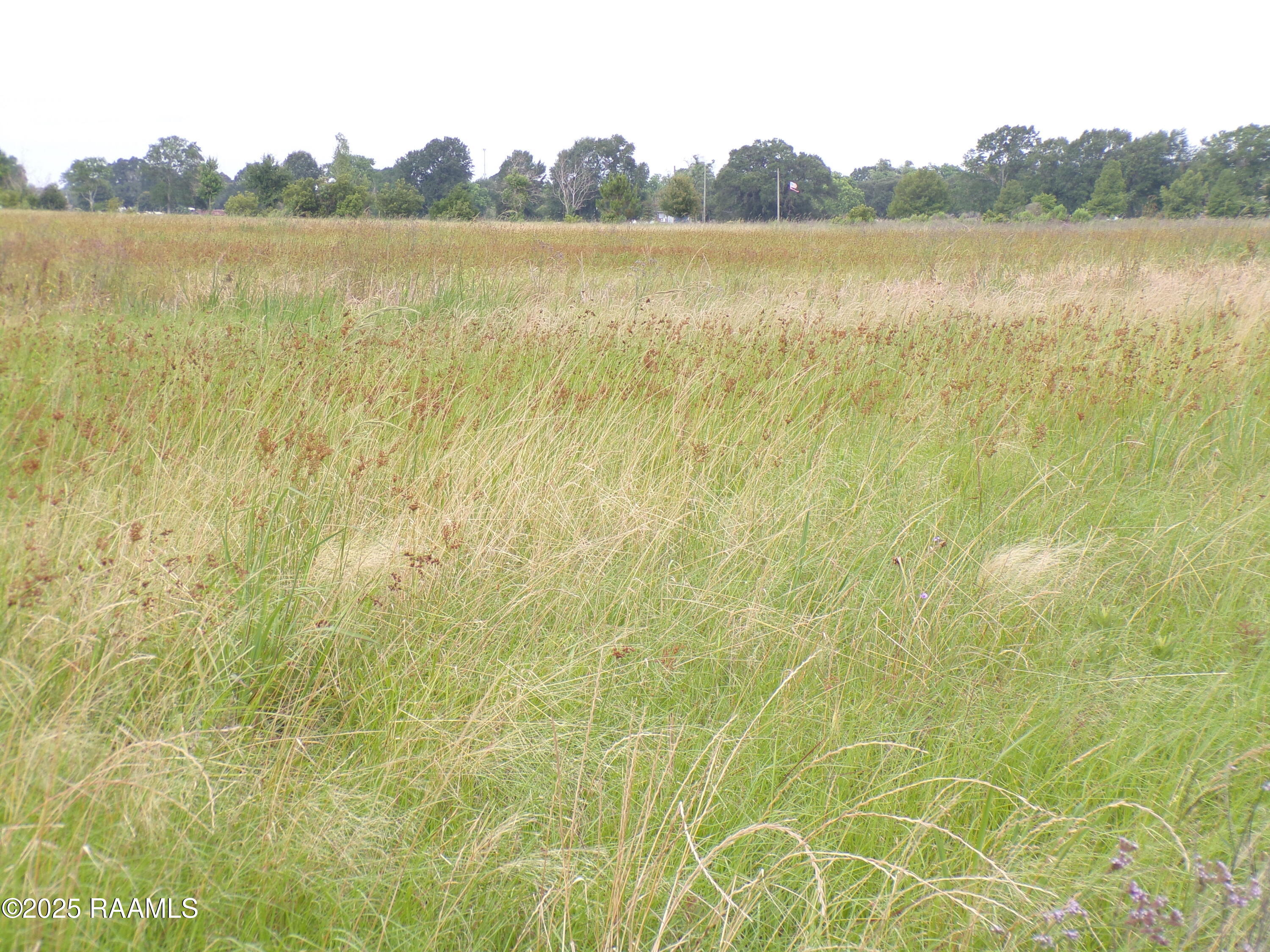 2 Joli Road Carencro, LA 70520 - Photo 8 of 8 100_2339
