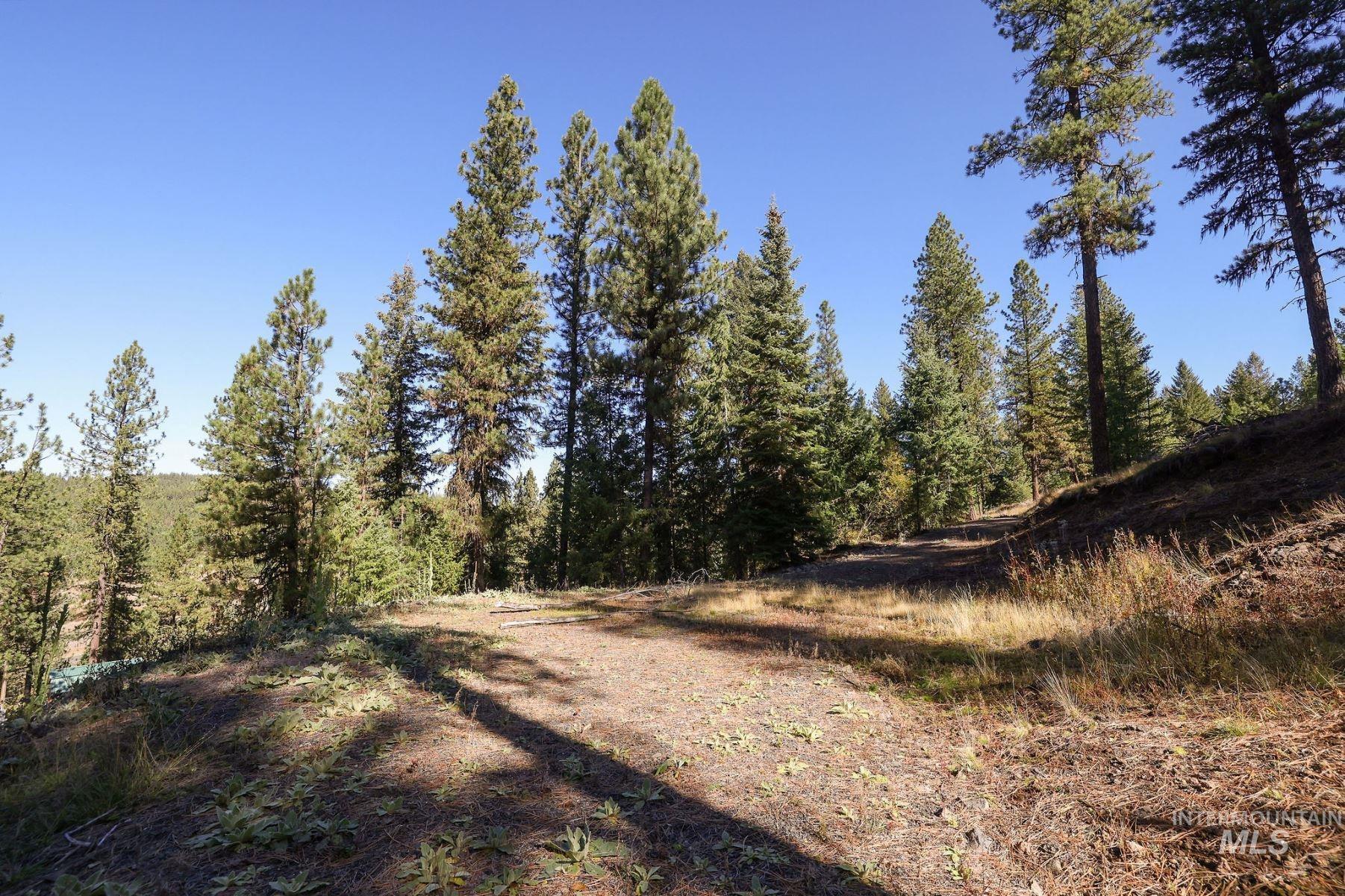 Lot 22 Rim Road New Meadows, ID 83654 - Photo 14 of 49
