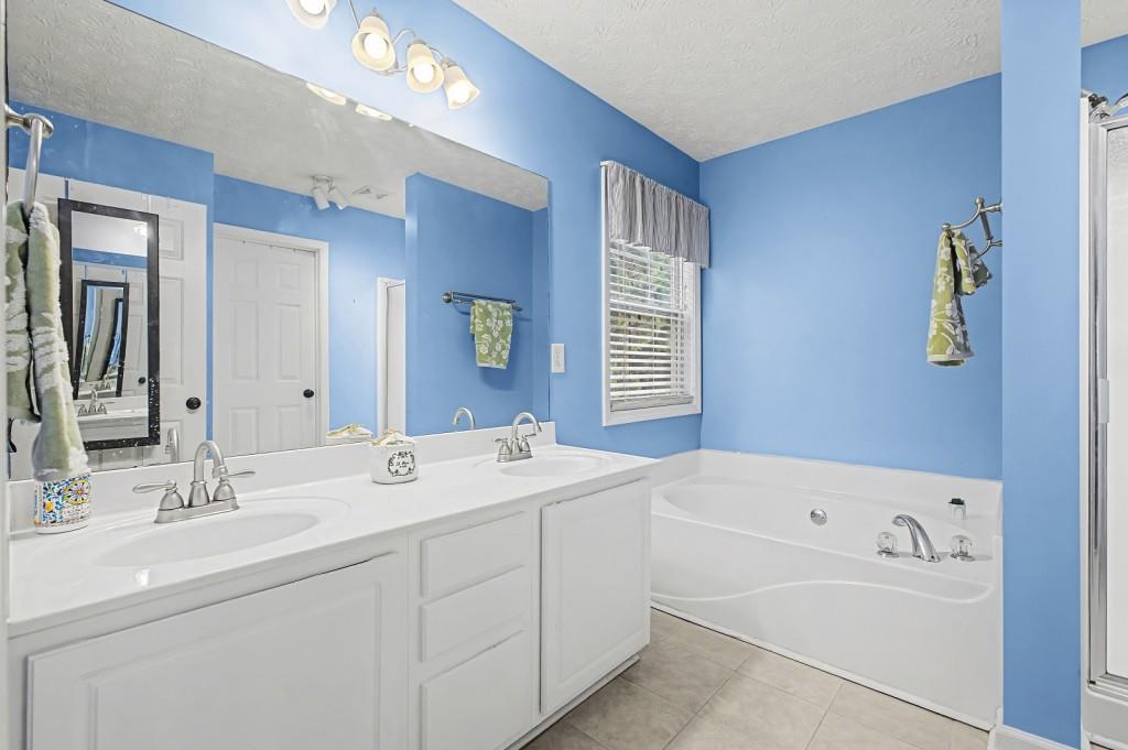 218 Amaranth Court Ball Ground, GA 30107 - Photo 23 of 46 a bathroom with a tub a sink and mirror