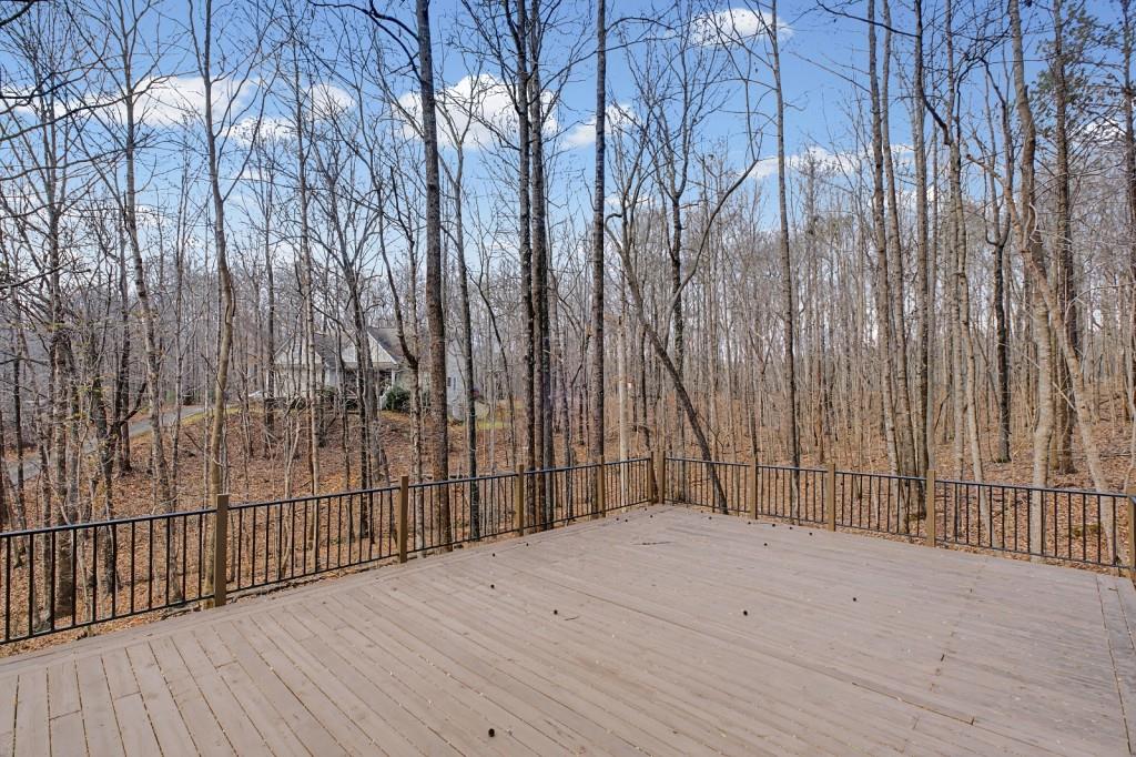 218 Amaranth Court Ball Ground, GA 30107 - Photo 41 of 46 a view of backyard with wooden fence