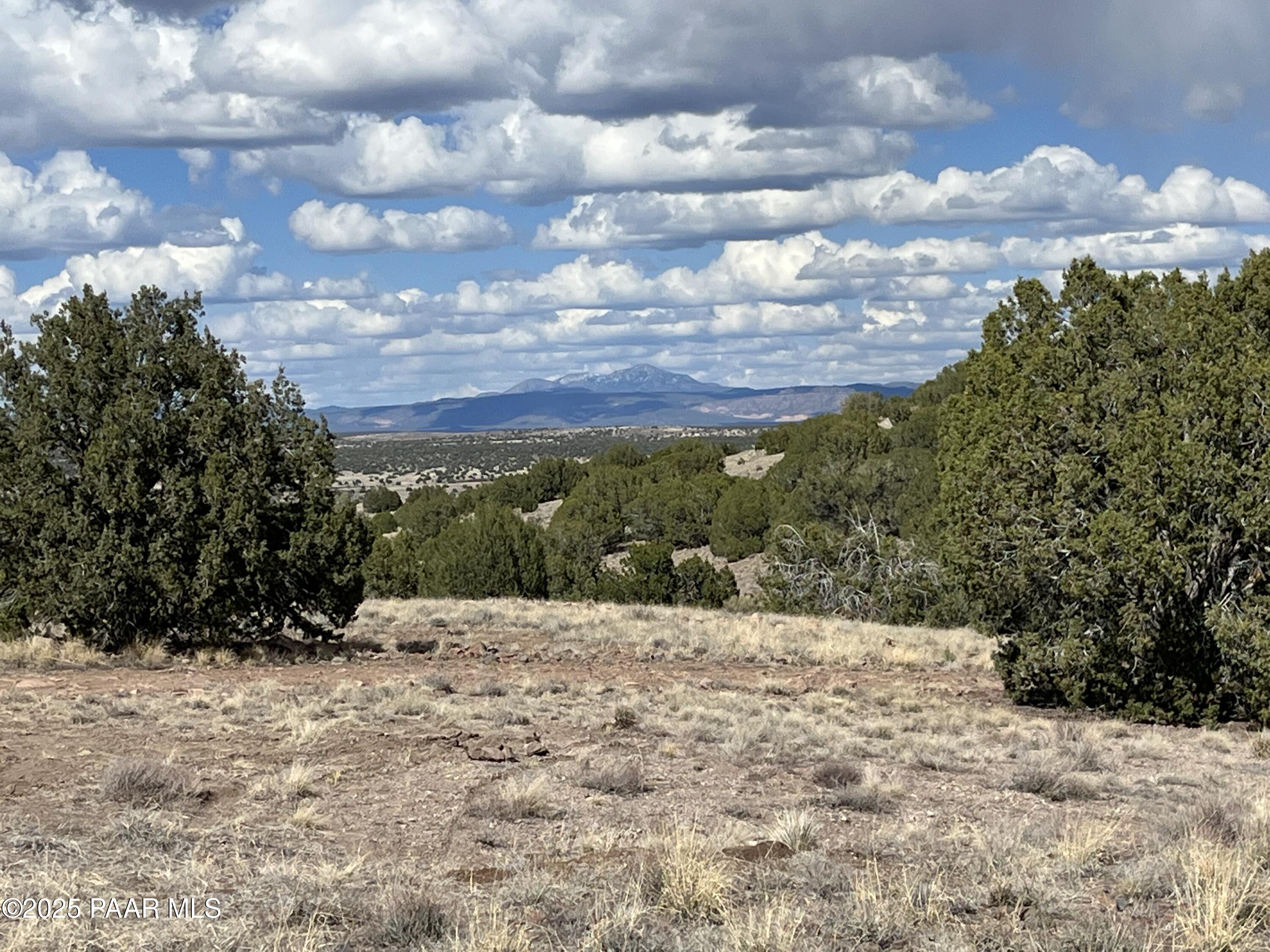 104 North Gray Gos Road Chino Valley, AZ 86323 - Photo 1 of 14 a view of outdoor space yard and mountain