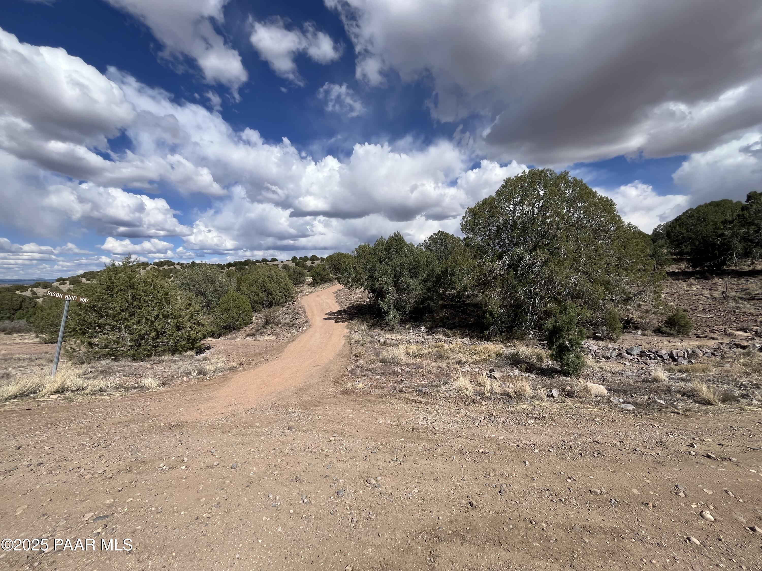 104 North Gray Gos Road Chino Valley, AZ 86323 - Photo 11 of 14 a view of a dry yard with trees in the background