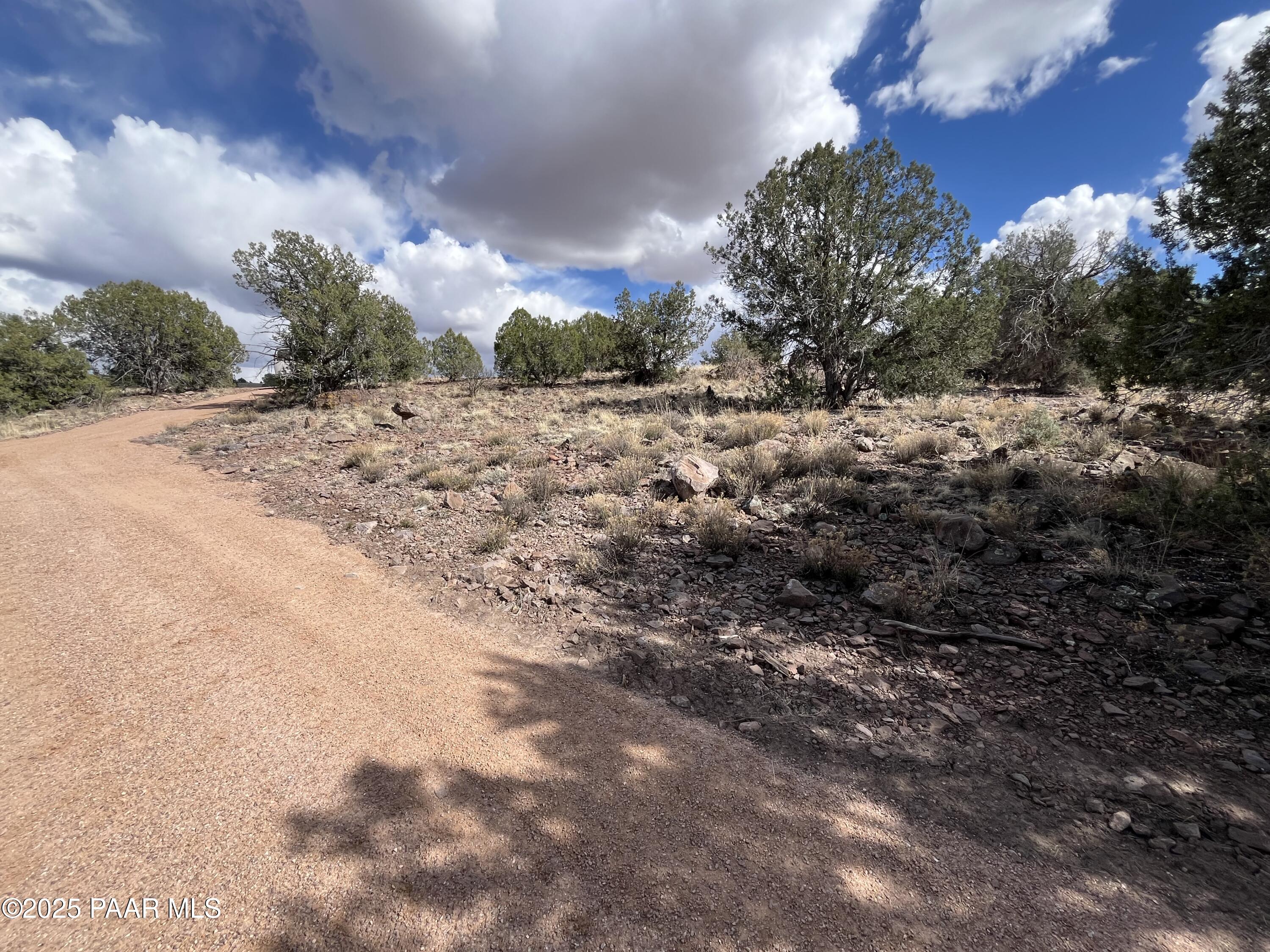 104 North Gray Gos Road Chino Valley, AZ 86323 - Photo 12 of 14 a view of a yard with a tree