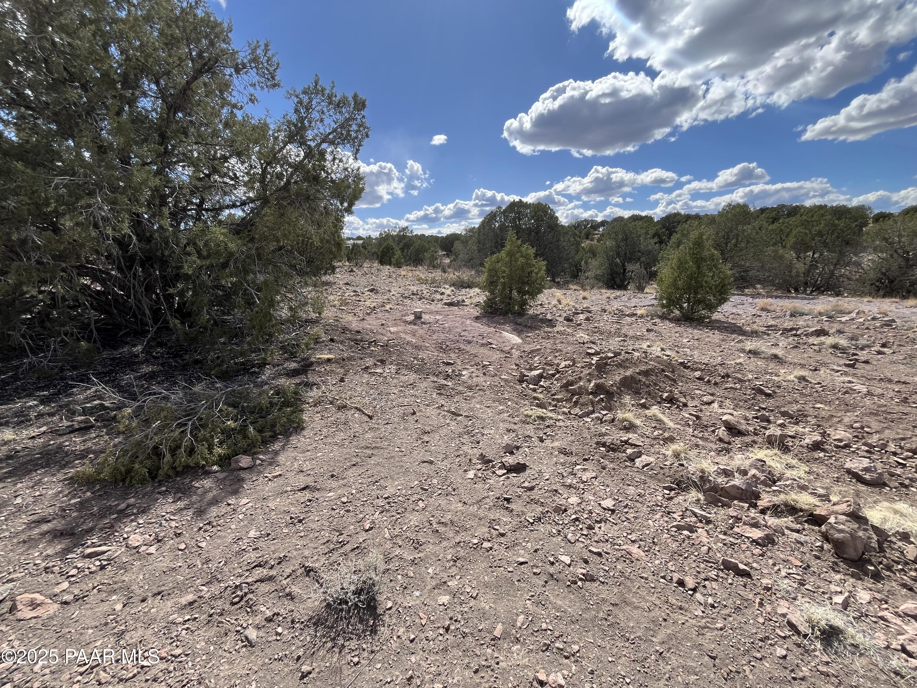 104 North Gray Gos Road Chino Valley, AZ 86323 - Photo 3 of 14 a view of a dry yard with lots of green space