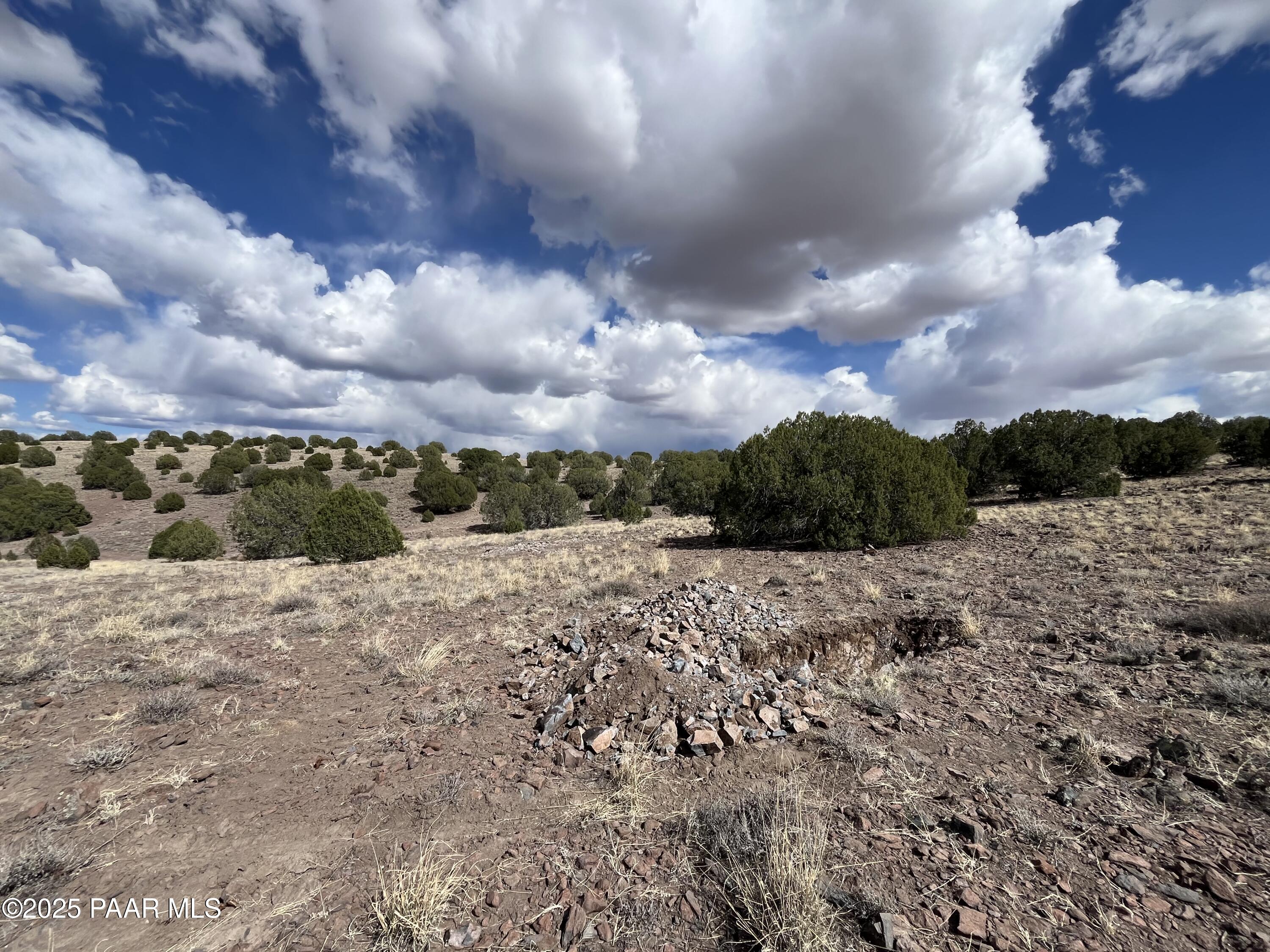 104 North Gray Gos Road Chino Valley, AZ 86323 - Photo 4 of 14 a view of a dry yard