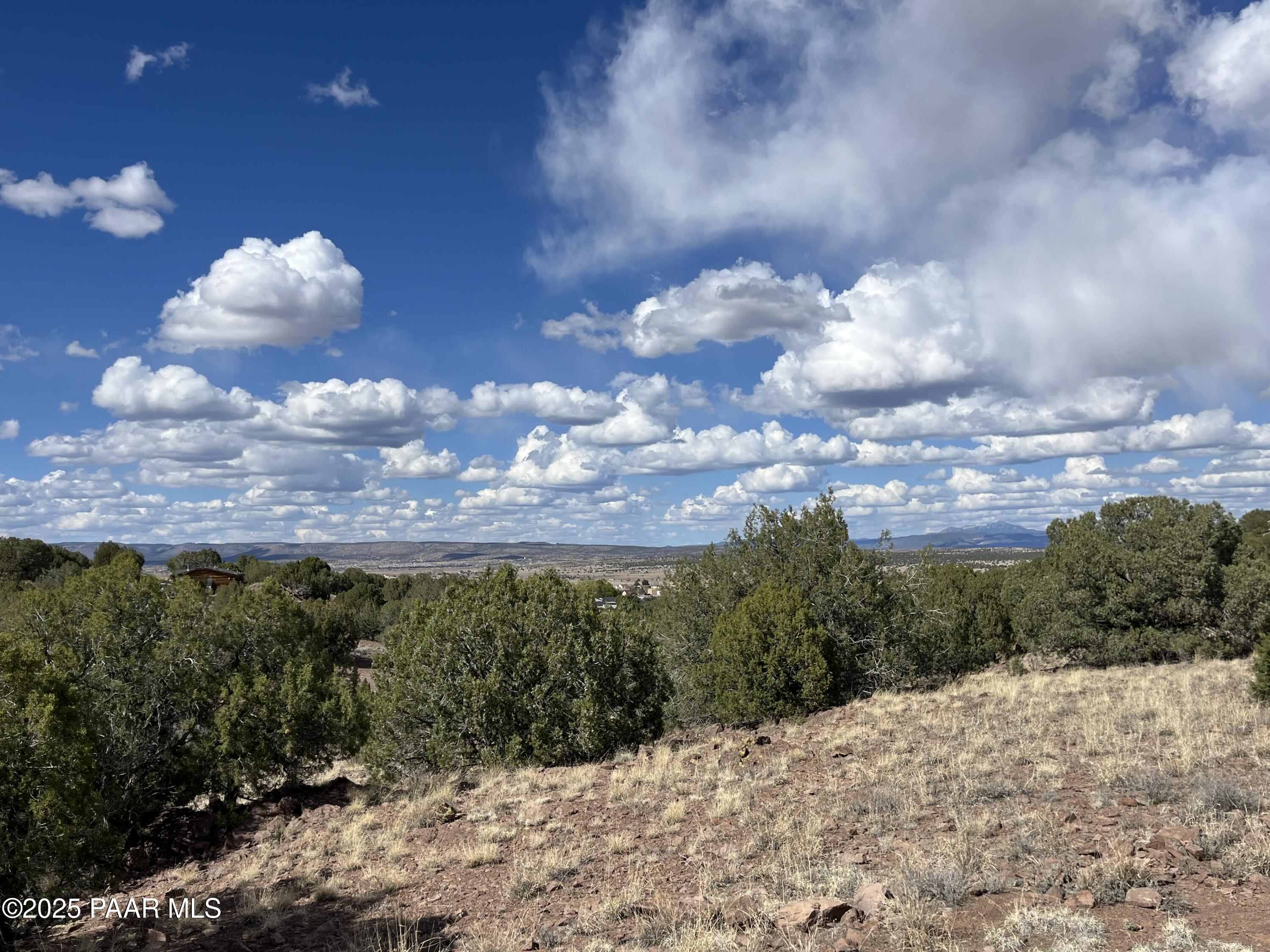 104 North Gray Gos Road Chino Valley, AZ 86323 - Photo 5 of 14 a view of a bunch of trees