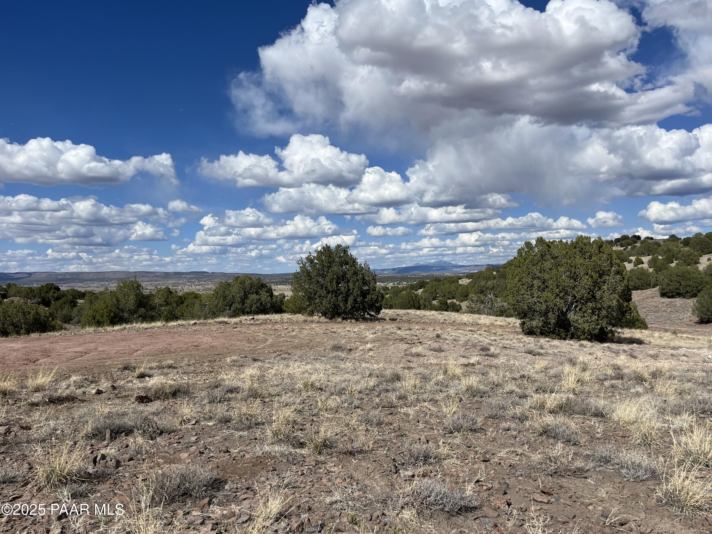 104 North Gray Gos Road Chino Valley, AZ 86323 - Photo 6 of 14 a view of a dry yard with trees