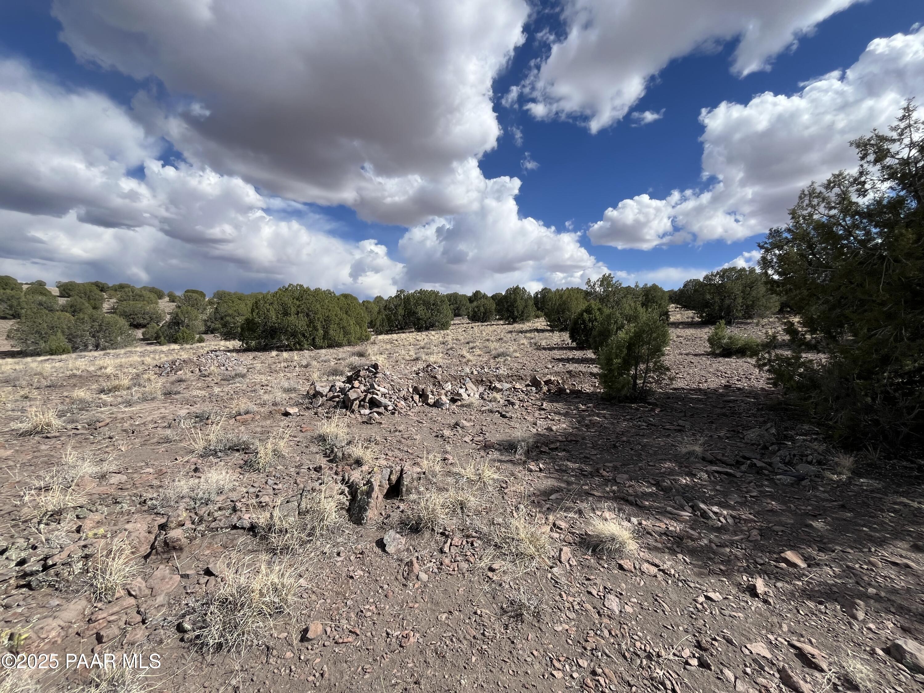 104 North Gray Gos Road Chino Valley, AZ 86323 - Photo 7 of 14 a view of a dry yard with wooden fence