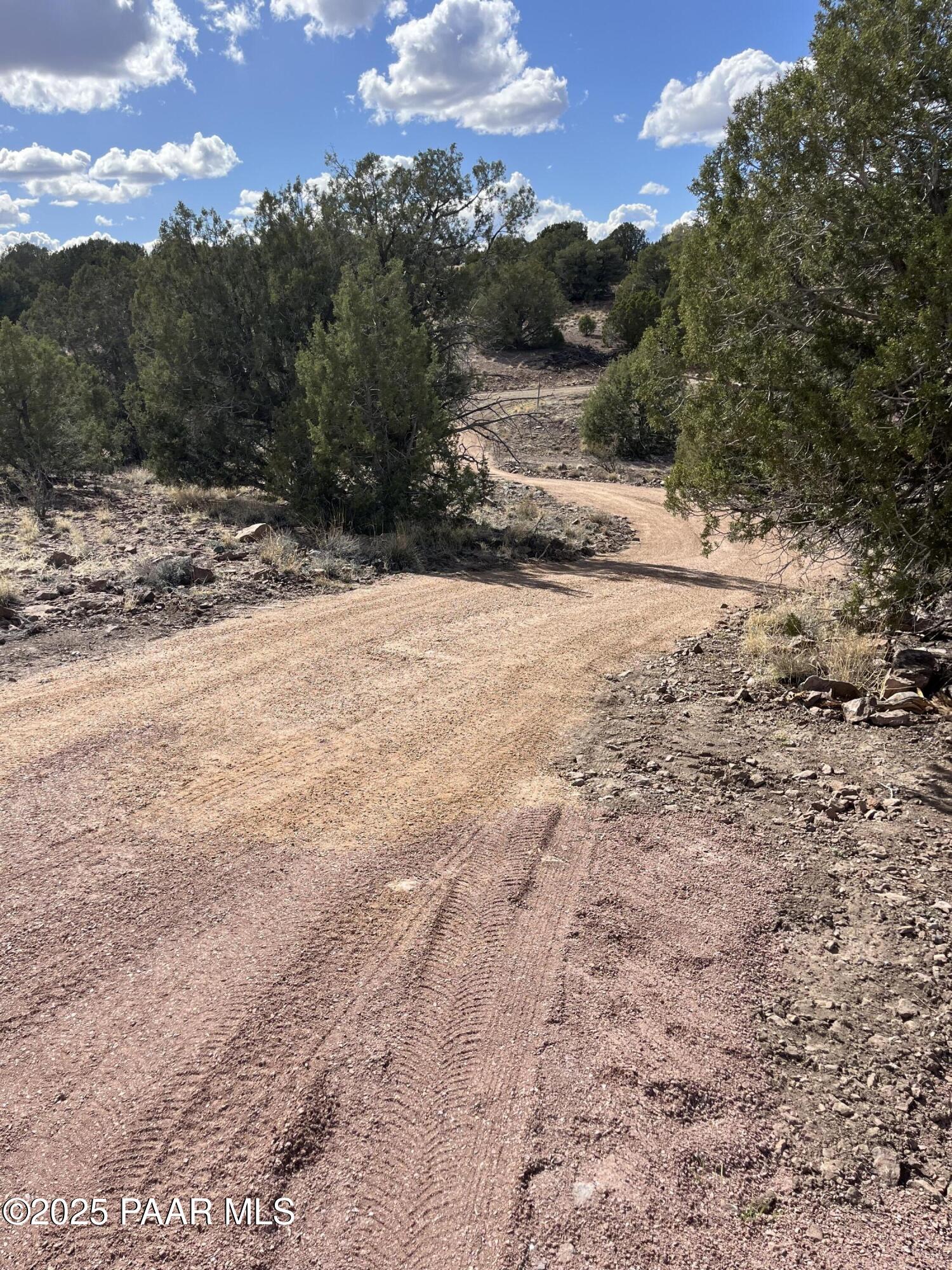 104 North Gray Gos Road Chino Valley, AZ 86323 - Photo 8 of 14 a view of a yard with a large tree